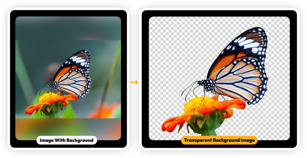 Clever AI Studio Review